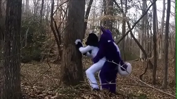 Vis Fursuit Couple Mating in Woods mine filmer