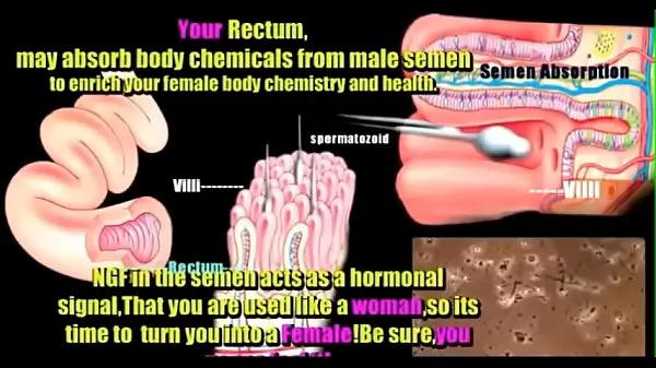 Εμφάνιση anatomía transexual Ταινιών μου